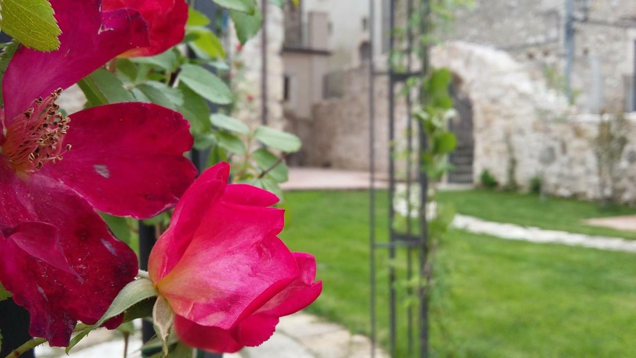 Alloggi Agrituristici Antica Dimora Villa San Demetrio ne' Vestini Exterior photo